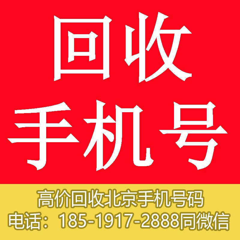 橙橙.jpg